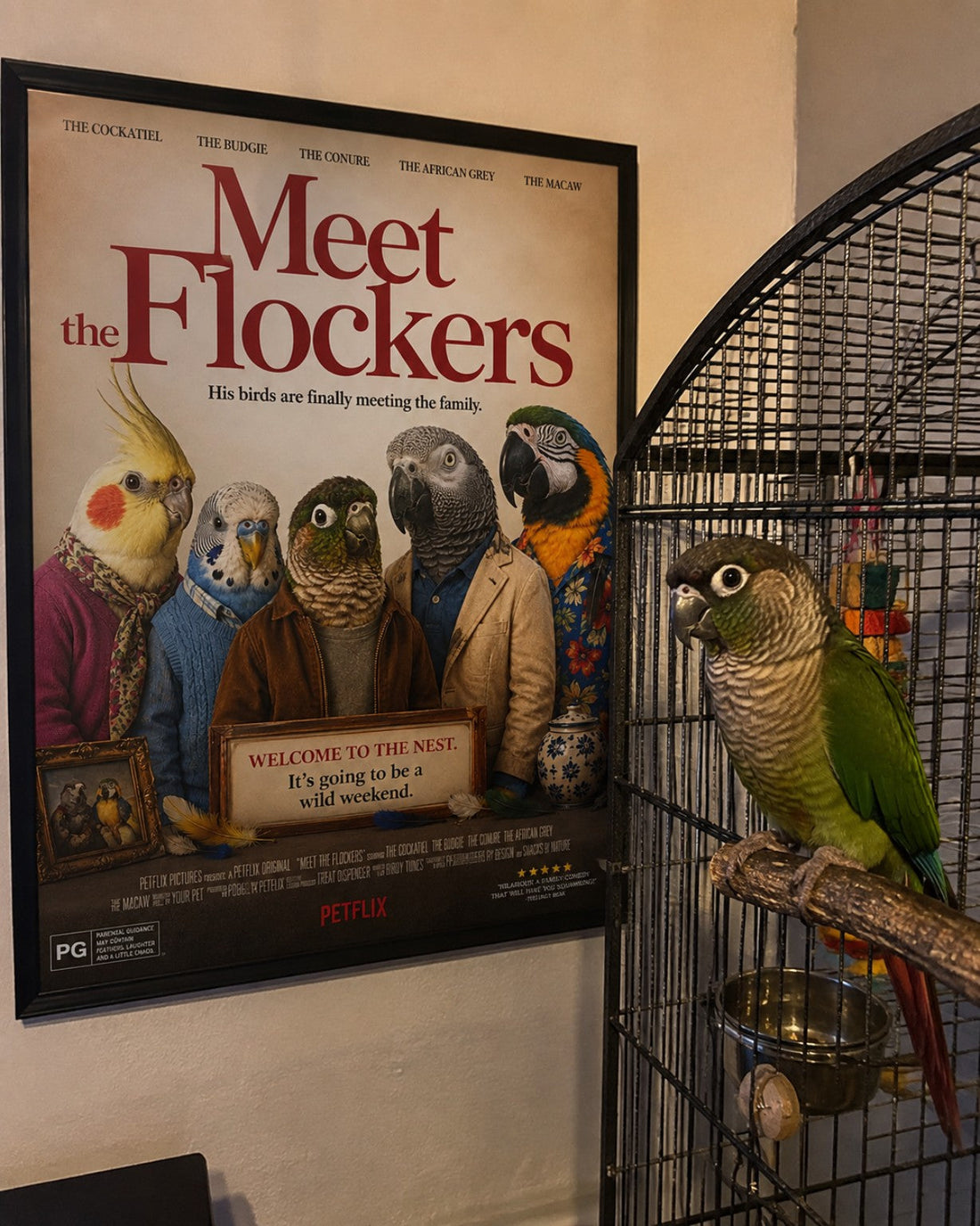 Personalised bird movie poster Meet the Flockers